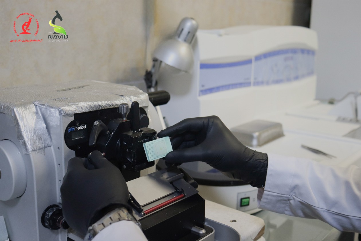 دستگاه Sakura Microtome