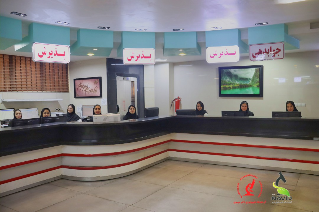 جوابدهی